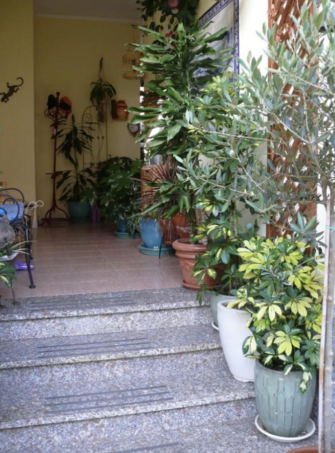 Lovely Flat In Northern Sardinia فاليدوريا المظهر الخارجي الصورة