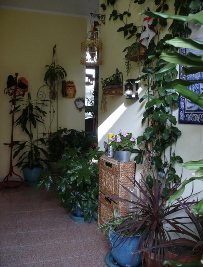 Lovely Flat In Northern Sardinia فاليدوريا المظهر الخارجي الصورة