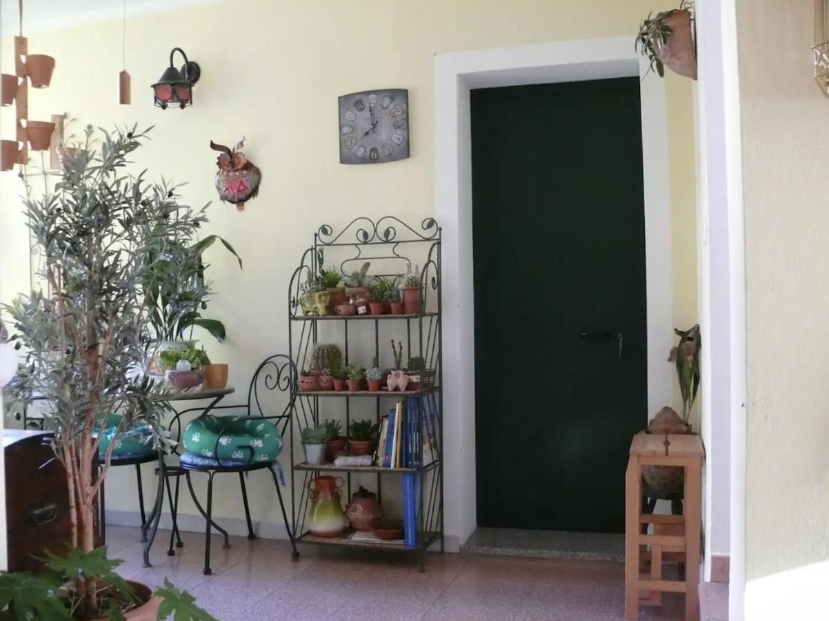 Lovely Flat In Northern Sardinia فاليدوريا المظهر الخارجي الصورة