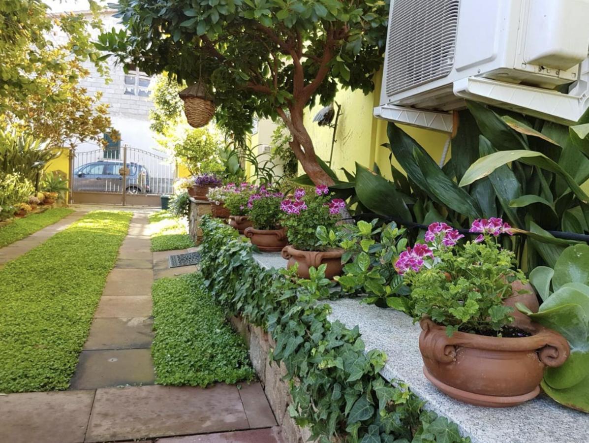 Lovely Flat In Northern Sardinia فاليدوريا المظهر الخارجي الصورة