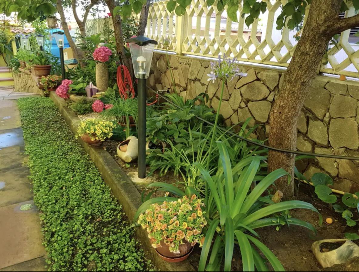 Lovely Flat In Northern Sardinia فاليدوريا المظهر الخارجي الصورة
