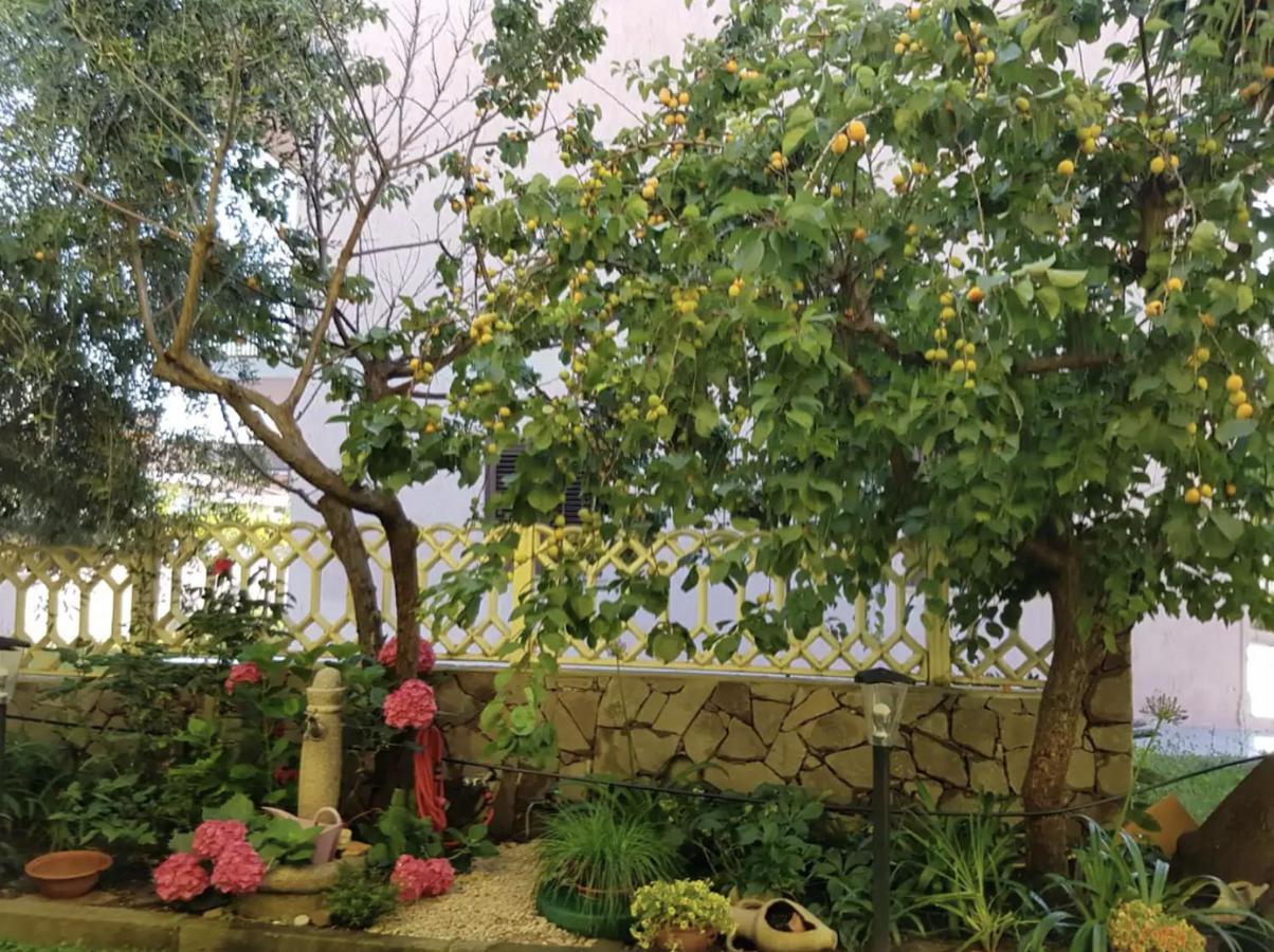 Lovely Flat In Northern Sardinia فاليدوريا المظهر الخارجي الصورة